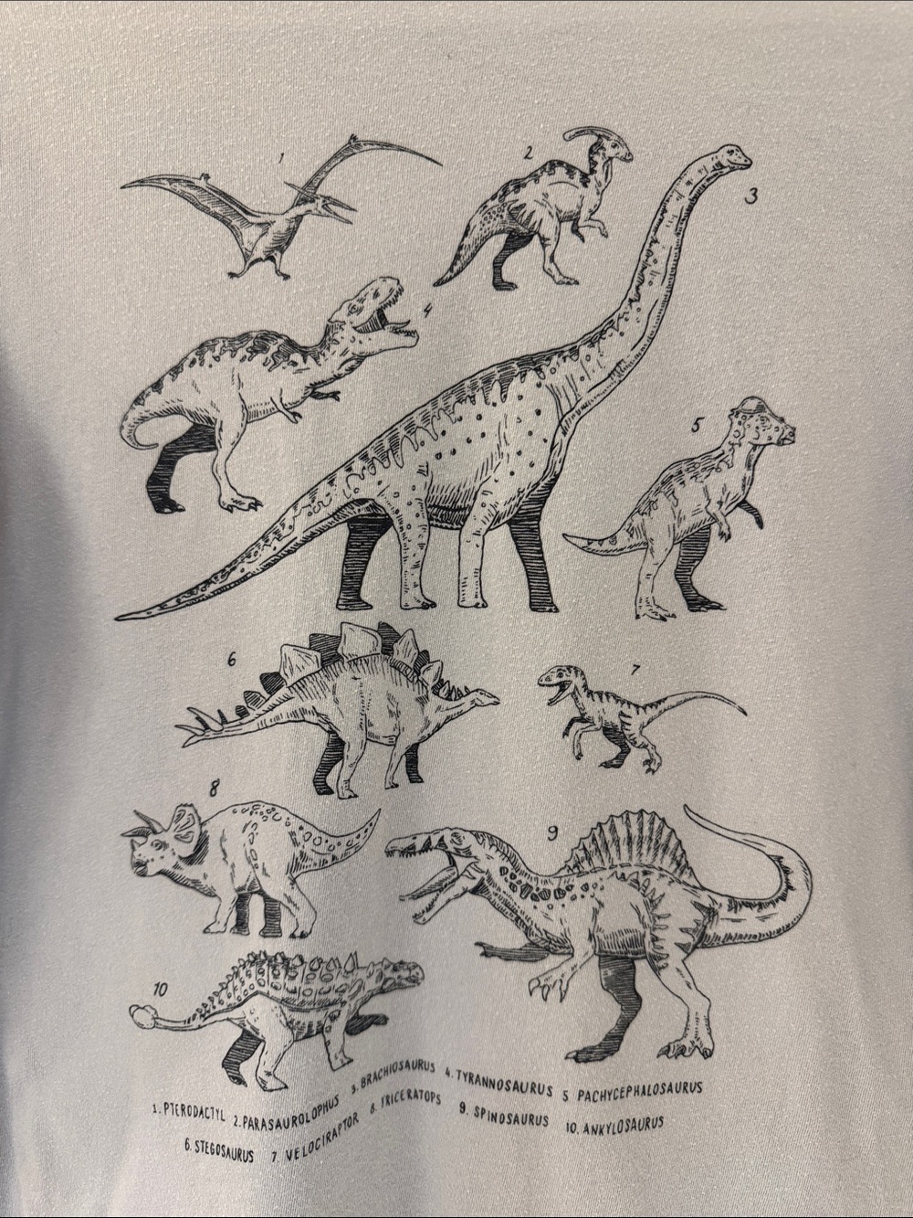 GAP Kids Light blue long sleeved Tee with Black Dino Prints